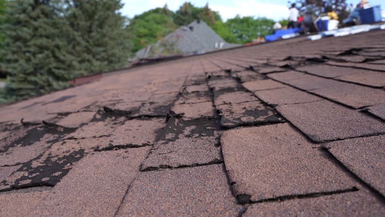 Best Cold Roofs  in Mount Shasta, CA