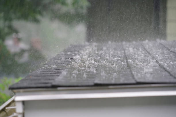 Best Gutter Installation and Repair  in Mount Shasta, CA